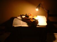 View patrickdirickx's Homepage