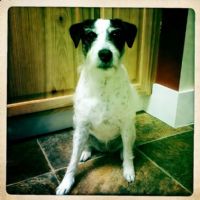 View chopsy's Homepage