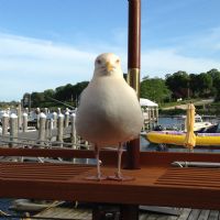 View oddjob's Homepage