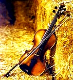 View fiddlingpreacher's Homepage