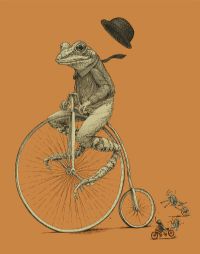 View BicycleFrog's Homepage