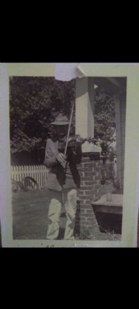 View Collins' Homepage