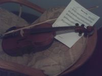 View fiddlesis' Homepage