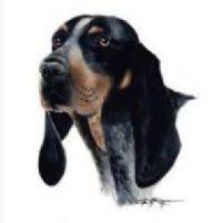 View Bluetick's Homepage
