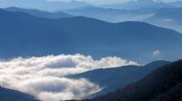 View bluegrassfiddle's Homepage