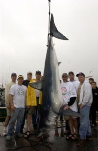 View Fisher's Homepage