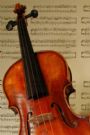 Fiddle Chick