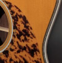 View Coturnix's Homepage