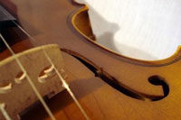 View fiddleguyNC's Homepage