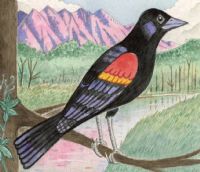 View jayebee's Homepage