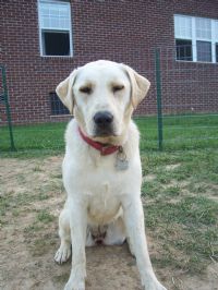 View kurcabj's Homepage