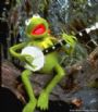 midtnfiddler