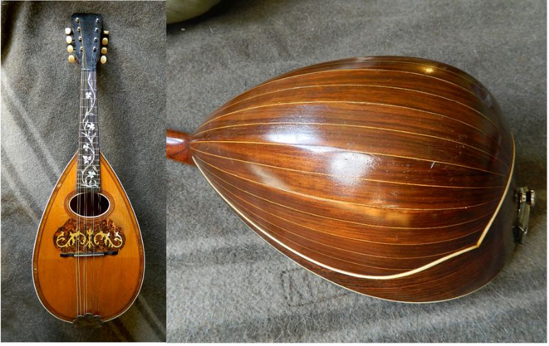 Bowl Back Mandolin S_Heriger's Photos Fiddle Hangout