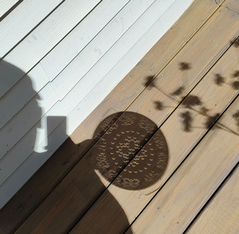 Well...how was your eclipse? Discussion Forums Fiddle Hangout