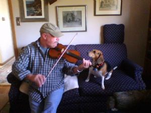 Click for Large Version