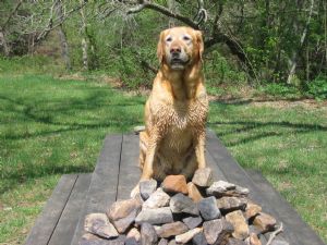 Click for Large Version