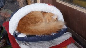 Click for Large Version