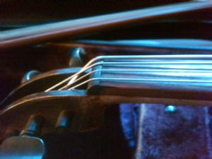 Click for Large Version