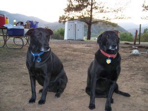 Click for Large Version