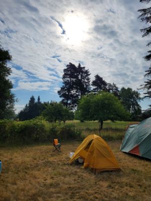 Click for Large Version