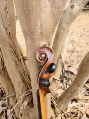 Click for Large Version