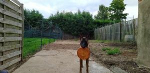 Click for Large Version