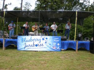 Click for Large Version