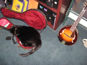 Click for Large Version