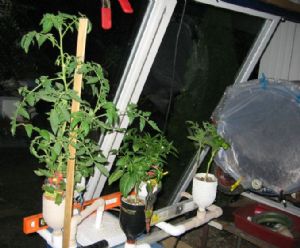 Click for Large Version