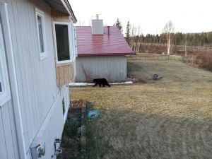 Click for Large Version