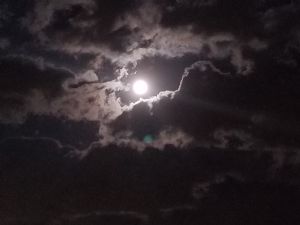 Click for Large Version