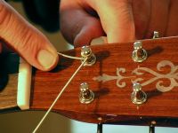 View Harry's Homepage