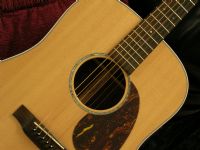 View William Hayes' Homepage