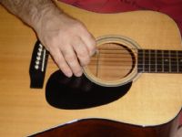 View Bird Dog's Homepage