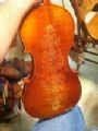fiddlinfoster
