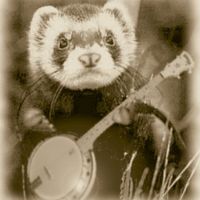 View sdbanjo's Homepage