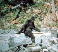 View Bigfoot21075's Homepage