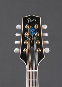 View Dragonslayer's Homepage