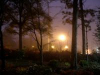 View robin jones' Homepage