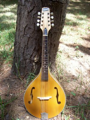 Click for Large Version