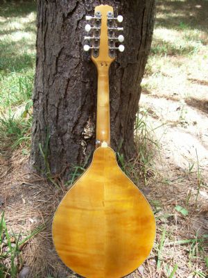 Click for Large Version