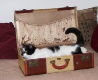 View jaycat's Homepage