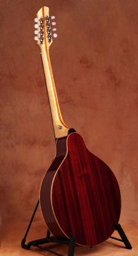 View Joe Mendel's Homepage