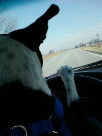 View dianaputney's Homepage