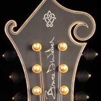 View tommy's Homepage