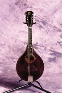 View smokin's Homepage