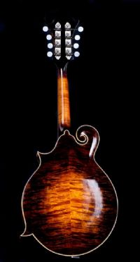 View scotti adams' Homepage