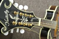 View drew hamlet's Homepage