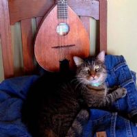 View S_Heriger's Homepage