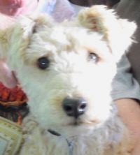 View SteveZ's Homepage